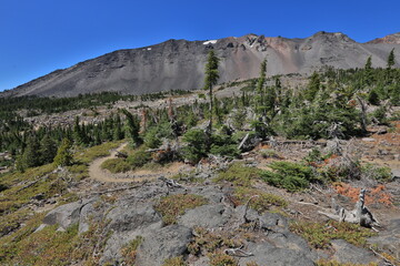 Beautiful PCT Trail in Oregon Section