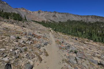 Beautiful PCT Trail in Oregon Section