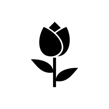 Rose Flower Icon Vector Logo Illustration Or Rose Flower Silhouette
