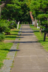 東京港区南青山2丁目の石畳の道