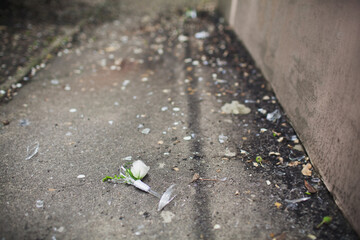 Shards from wedding glasses on the floor
