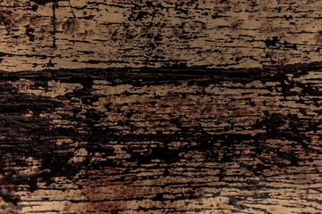 grunge ,wet brown wooden texture background design
