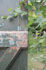 The beautiful Danish summer garden