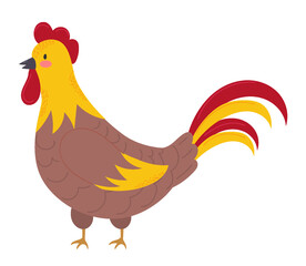 Cartoon funny rooster on white background