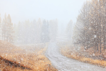 Obraz na płótnie Canvas winter highway snowfall background fog poor visibility