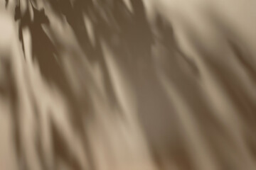 Abstract diagonal tree leaves shadows on solid beige wall texture. Abstract trendy colored nature concept background. Copy space for text overlay, poster mockup, flat lay, top view