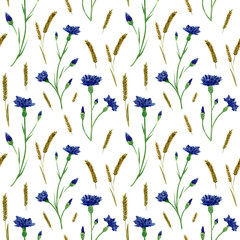 Seamless cornflower and wheat spikelet pattern. Watercolor floral background with blue knapweed, bluett and oats spica for textile, wallpapers