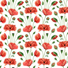 Obraz premium Seamless poppies pattern. Watercolor floral background with poppy wildflower, bud, leaves for textile, wallpapers