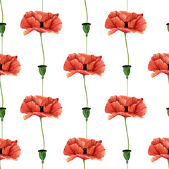 Obraz premium Seamless poppy flowers pattern. Watercolor floral background with poppies wildflower and bud for textile, wallpapers, summer decor