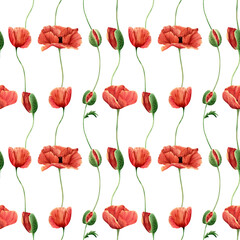 Fototapeta na wymiar Seamless poppy wildflowers pattern. Watercolor floral background with botanical poppies flowers illustration for textile, wallpapers