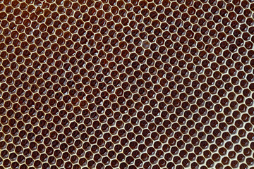 Honeycomb with honey. Background texture and pattern of a section of wax honeycomb from a bee hive...