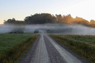 Dirt road in rural landscape with fields both sides. Early morning with mist and fog. Glow from rising sun.