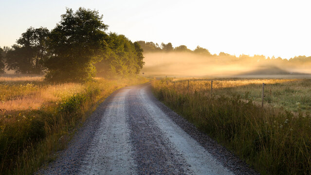 Dirt road in rural landscape with fields both sides. Early morning with mist and fog. Glow from rising sun.