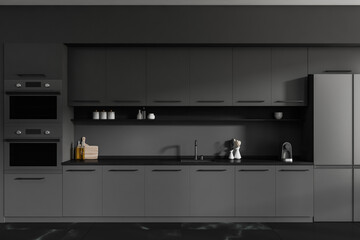 Front view on dark kitchen room interior with cupboard