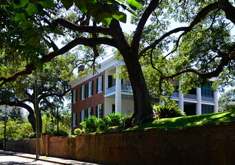 Villa in the Town Natchez, Mississippi