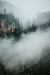 fog in the mountains