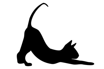 black silhouette of a sphinx cat, on a white background
