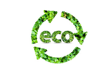 eco icon made of plants on a white background