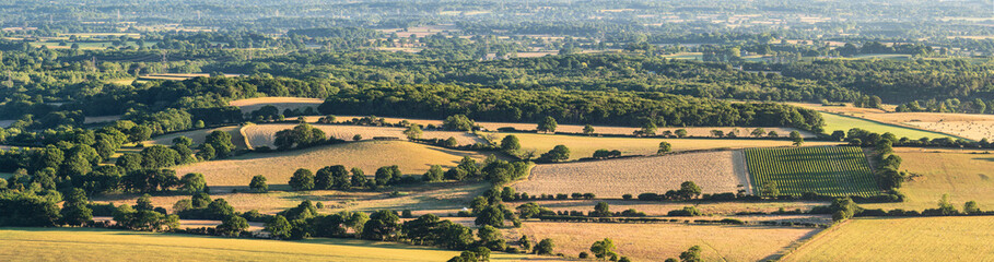 Fototapeta na wymiar Summer morning landscape panorama view across rolling fields of South Downs National Park in England