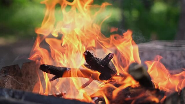 Firewood burning - slow motion video of Tongues of fire and smoke from coals in the grill 