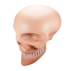Skull 3d rendering isometric icon.