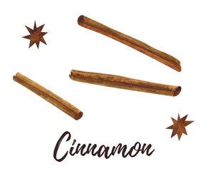 Watercolor illustration of cinnamon.