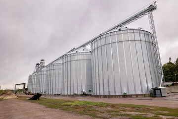 Galvanized steel silos for grain storage. Access road for unloading wheeled grain trucks. - obrazy, fototapety, plakaty