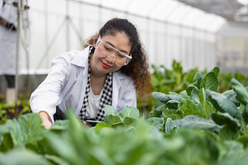 Scientist woman researcher staff worker collecting study plant information in agriculture farm. Agricultural Science concept.