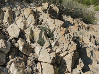 Rocks in desert mountains 