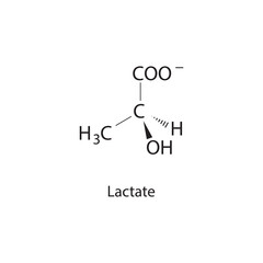 Lactate chemical structure on white background.