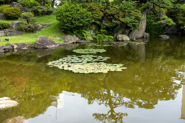 Fototapeta na wymiar 日本庭園 池