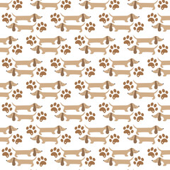 dachshund seamless pattern / digital paper