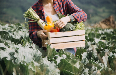 female farmer working early on farm holding wood basket of fresh vegetables and tablet