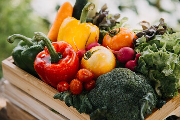 female farmer working early on farm holding wood basket of fresh vegetables and tablet