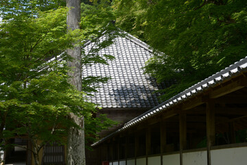 永源寺　回廊と法堂　滋賀県東近江市