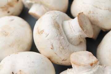 white champignons close-up, vegetarian food, natural food