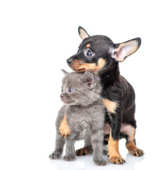 Friendly Toy terrier puppy embraces tiny kitten. Pets look away on empty space. isolated on white background