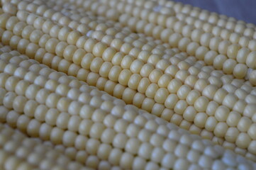 Cobs and kernels of fresh young corn