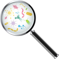 Microorganisms under a magnifying glass