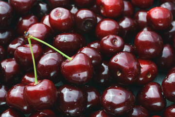 Sweet cherry ( black cherries) with water drops as background