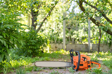 Chainsaw that stands on a heap of firewood in the yard on a beautiful background of green grass and forest.