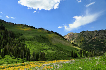 landscape with mountains and sky