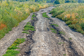 Obraz premium A dirt road stretching into the distance among green fields. Soft focus
