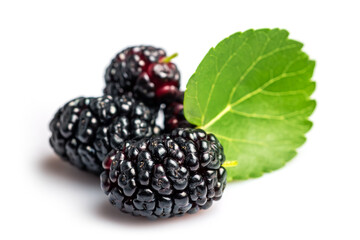 Mulberry fruits with green leaves isolated on white background.