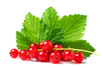 Red currants with leaf isolated on white