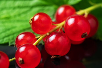 Juicy red currant. Fresh red currant on black background. close up