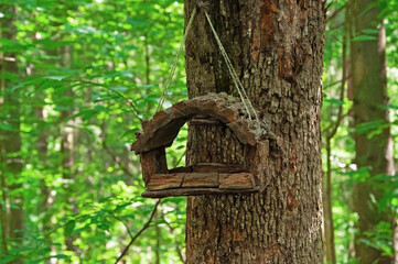Wooden bird feeder made of tree bark close-up against the background of trees