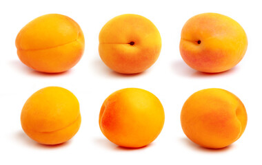 Apricot isolated. Apricots on white. Apricot set. Full depth of field.