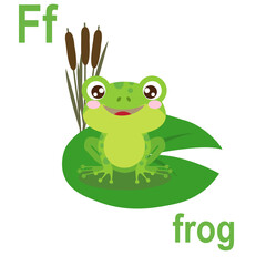 Funny little frog on the leaves of swamp plants, alphabet card, children's room design, vector illustration