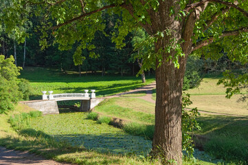 White openwork stone bridge across the river with water lilies and beautiful trees in a summer city park